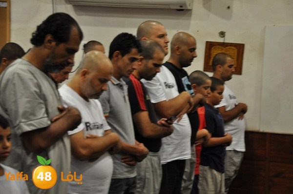 msajed amer qder 804 (37).JPG